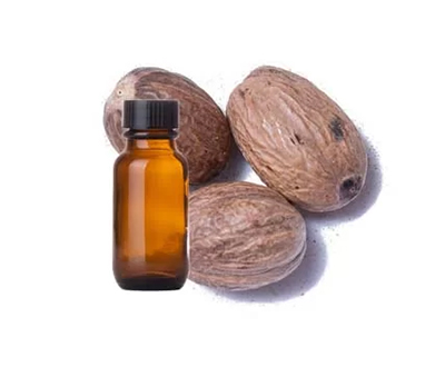 Nutmeg Oil Image