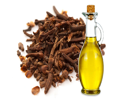 Clove Stem Oil